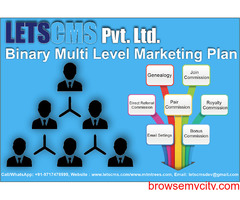 Binary eCommerce Plan | Binary Multi-Level Marketing [MLM] Software
