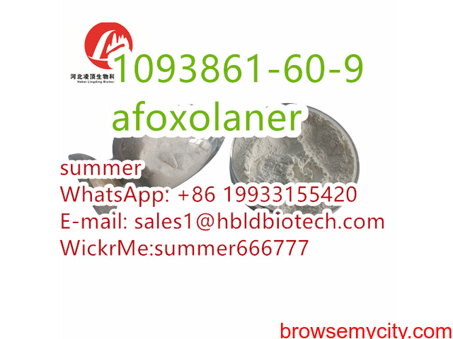 anthelmintic drug afoxolaner CAS:1093861-60-9 - 3/6