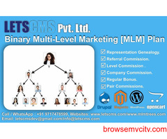 Binary eCommerce Plan | Binary Multi Level Marketing [MLM] Software for Cheapest Price