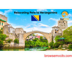 Relocating Pets to Herzegovina
