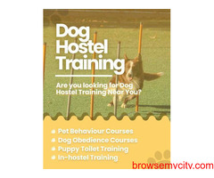 Dog trainers Mumbai