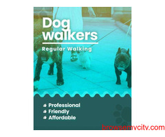 Dog walking services Mumbai