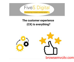 Customer experience (CX) is everything?