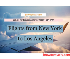 Fight From New York to Los Angeles – See the Savings Now!