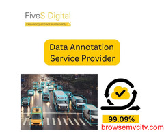 Data Annotation Service Provider - FiveS Digital