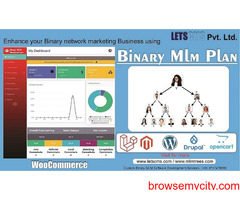 Binary Custom CMS Development Services | Binary eCommerce mlm Script