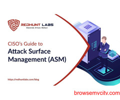Best Expanse Attack Surface Management Company in India | RedHunt Labs
