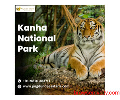 kanha National Park