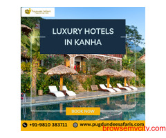 Luxury hotels in Kanha