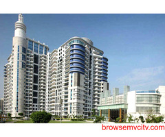 Service Apartment For Rent in Gurgaon – DLF The Pinnacle in Gurgaon