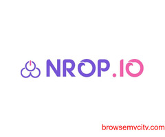 Get The Best Software Scripts For An Adult Business - Nrop.io