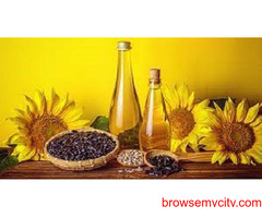 First Quarter of 2023 in Europe Sunflower Oil Prices