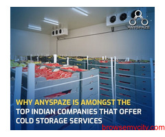Cold Storage Services - Anyspaze