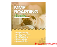 Dog boarding services in Hyderabad