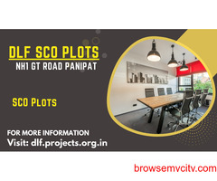 DLF SCO Plots NH1 GT Road Panipat - Your Business's Perfect Match