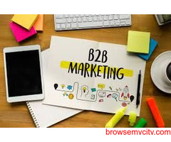 B2b Sales agency and marketing