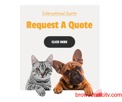 International Pet Relocation Services by AirPets