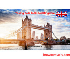 Best Pet Transport from India to UK