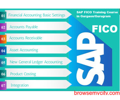 Best SAP FICO Institute in Delhi, Govindpuri, Free SAP Server Access, Free Job Placement