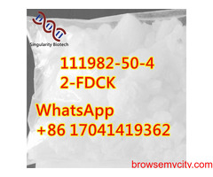 111982-50-4	High purity low price	y3