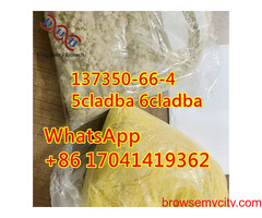 137350-66-4	High purity low price	y3
