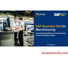 Top SAP Business One Partner in India