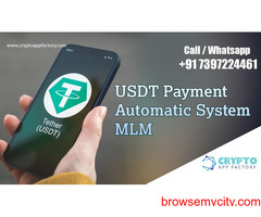 USDT payment automatic system MLM