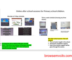 Online classes for Primary school children with homework completion assistance.