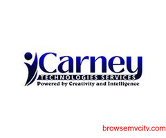 Carney Technologies Services Is A Pioneer In Providing  Digital Marketing Services