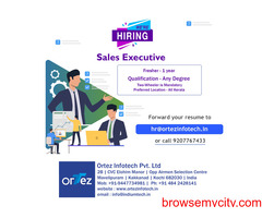 We are hiring Sales executive