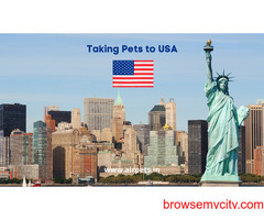 Pet Export from India to the USA