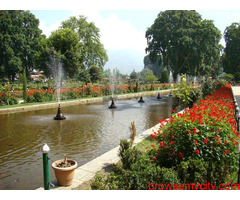 Splendid Hues of Kashmir