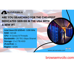 Are you searching for the cheapest Dedicated Server in the USA with a new IP?