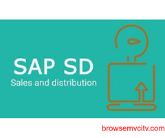 Master SAP SD Online: Enroll Now for Expert Training