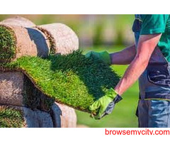 Landscaping service in Amherst NY / best cheap gardening cost