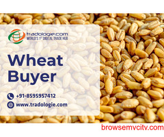 Wheat Buyer