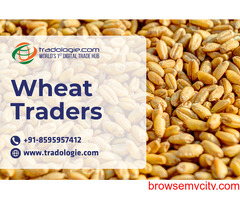 Wheat Traders