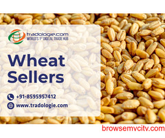 Wheat Sellers