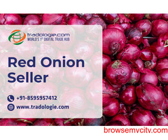 Red Onion Seller