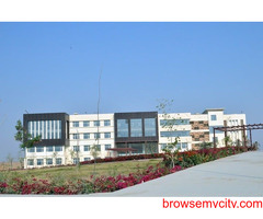 Top Institutes for BCA in Bikaner | RNB Global University
