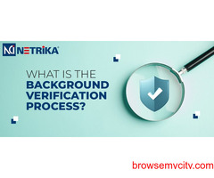 Background check for employment - Netrika Consulting