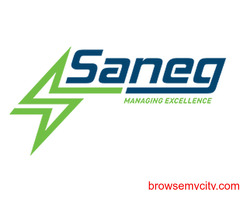 Project management consulting firms - Saneg