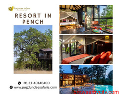 Resort in Pench