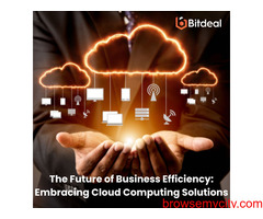 Experience Seamless Cloud Computing Solutions with Bitdeal!