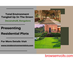 Total Environment Tangled Up In The Green: Where Nature and Luxury Converge in Bangalore