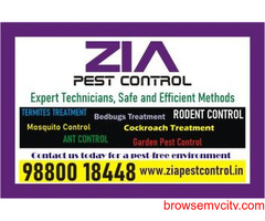 Bedbug Treatment | Cockroach Pest service price just Rs. 999 only | 1771