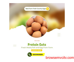Introducing Protein Cuts Eggs: A Fresh Take on Farm-to-Table Goodness