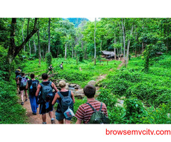 Exploring the Best Things To Do in Jim Corbett | Trekking