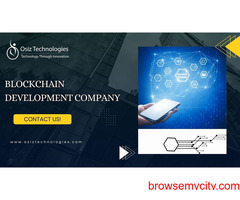 Elevate Your Business with Osiz Blockchain Development
