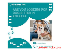 Professional Dog Sitter in Kolkata